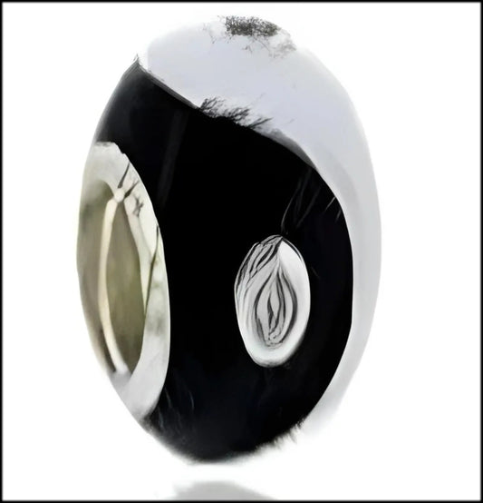 Onhand Best Seller Charm (s0549): Black&White Ying Yang Charm
