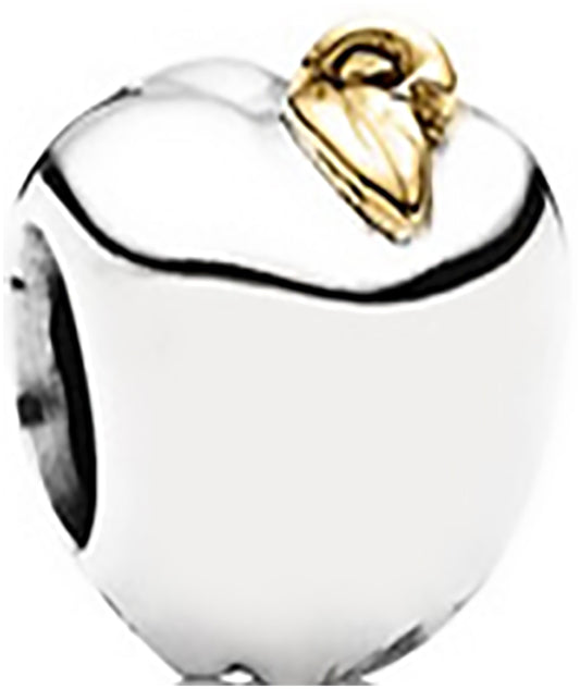 Onhand Best Seller Charm (G46): Silver Apple of my eye charm
