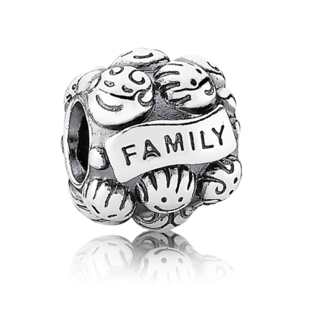 Onhand Best Seller Charm (s284-B-B): Family , Family Faces